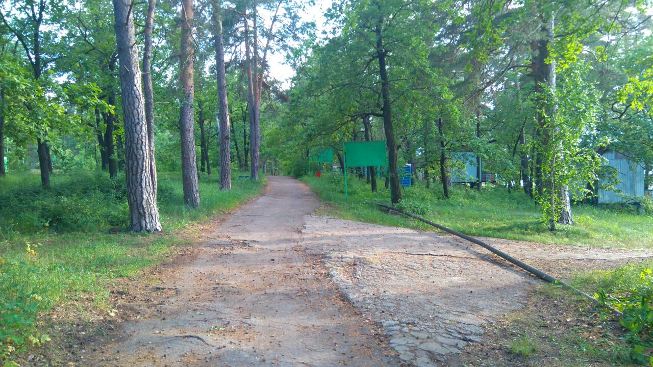 sosnovyj_bor-1